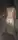 raindogspb