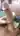 Chedlover _ CRV