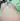 AntOrb