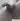 Ivan1985nhdaj11